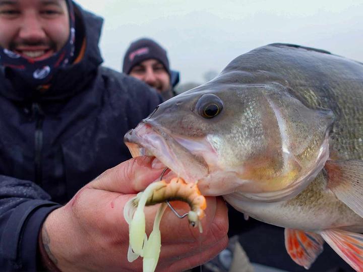 Immagine prodotto Stucki Fishing Crazy Craw