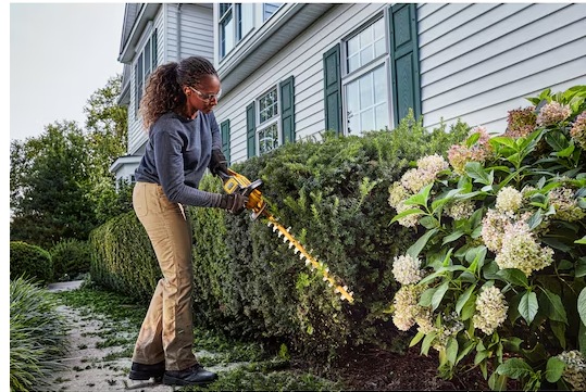 Actual product image DeWalt 54 Volt Akku-Heckenschere 65cm (Cordless hedgecutters)