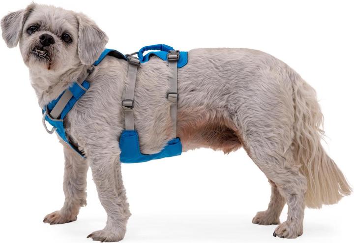Actual product image Ruffwear Flagline dog harness (L, XL, Dog, General)