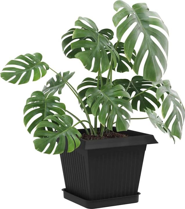 Produktbild vidaXL Quadratischer Blumentopf