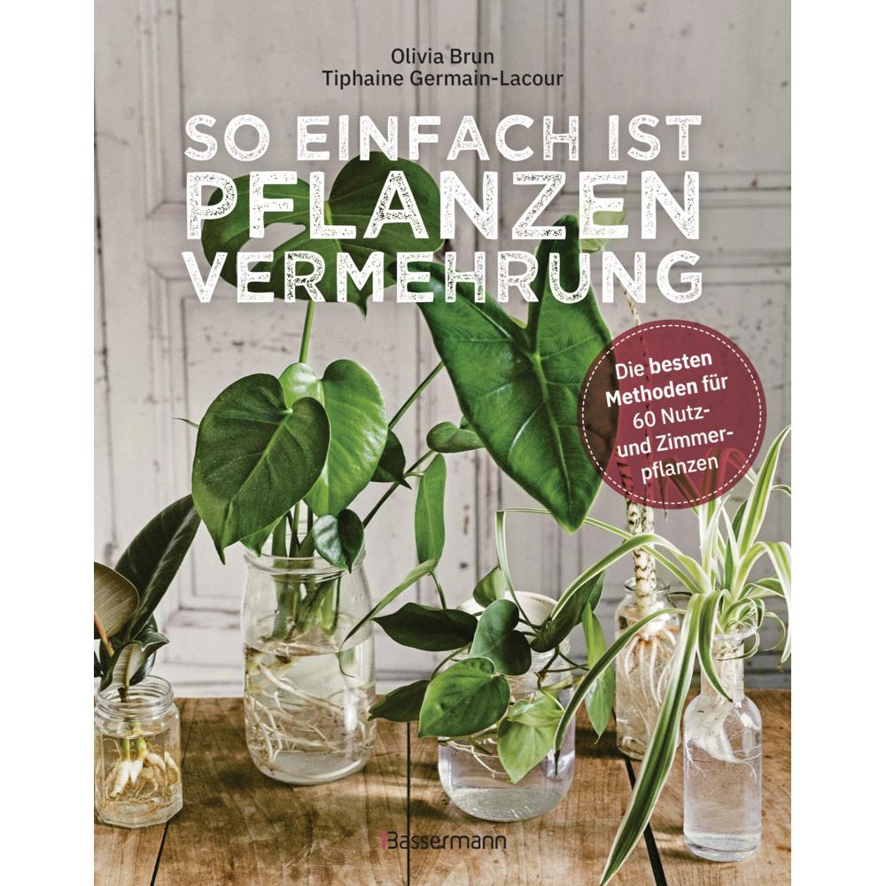 So einfach ist Pflanzenvermehrung. Die besten Methoden für 60 Nutz- und Zimmerpflanze, Ratgeber von Olivia Brun, Annegre...