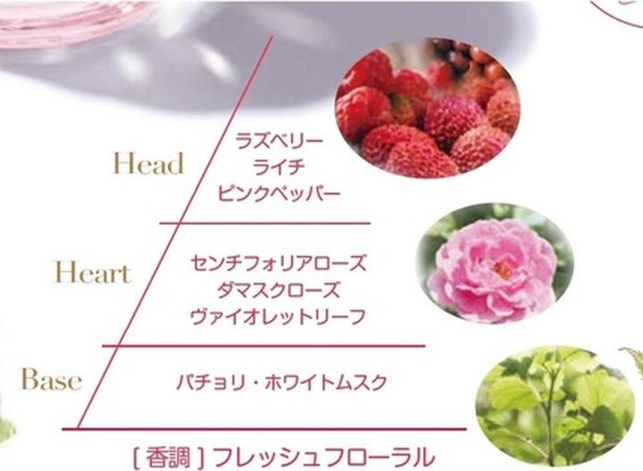 Actual product image L'Occitane Hand Cream (75 ml)