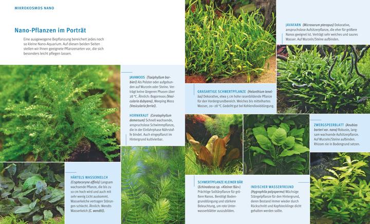 Image du produit Nano aquariums (20.20 cm)