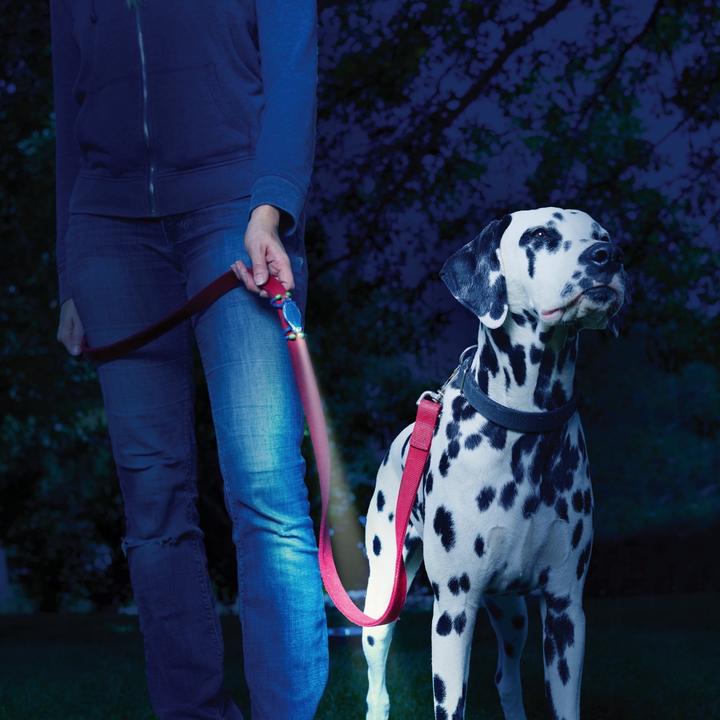 Actual product image Nite Ize LeashLit™ LED Micro Flashlight (Dog, General)