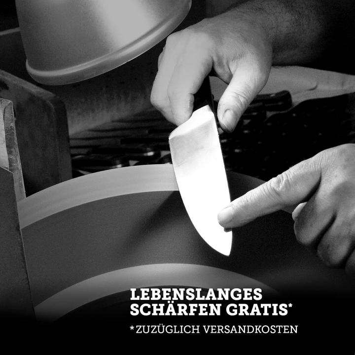 Immagine prodotto Felix Solingen 229121 Coltello da barbecue MIU (21 cm)