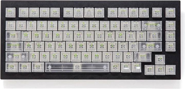 Actual product image Akko ASA Clear Printed Keycap
