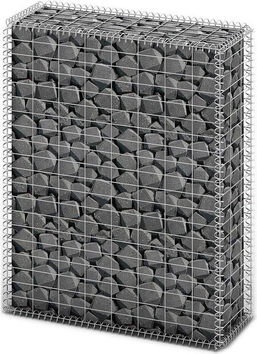 Actual product image vidaXL Gabionenkorb