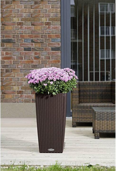 Immagine prodotto Lechuza Cubico Cottage (29.50 cm)