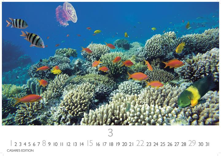 Actual product image Unterwasserwelten 2026 S 24x35cm (24 x 35 cm)