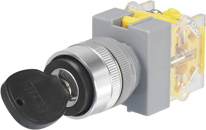 Actual product image Tru Components Key switch 250 V/AC 5 A Y090