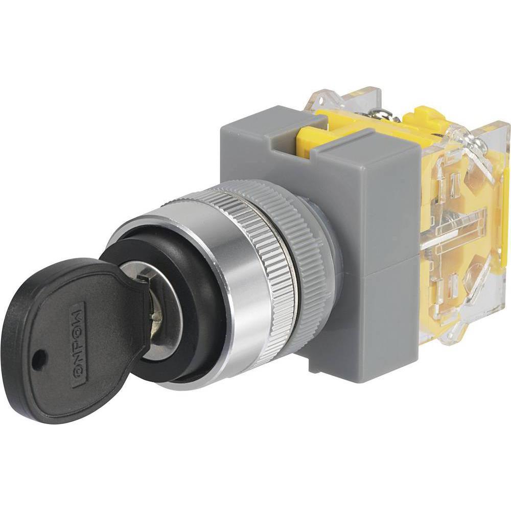 Tru Components Schlüsselschalter 250 V/AC 5 A Y090, Taster + Schalter, Schwarz