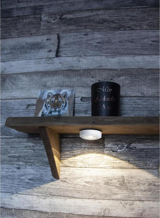 Image du produit Star Trading Veilleuse LED Functional