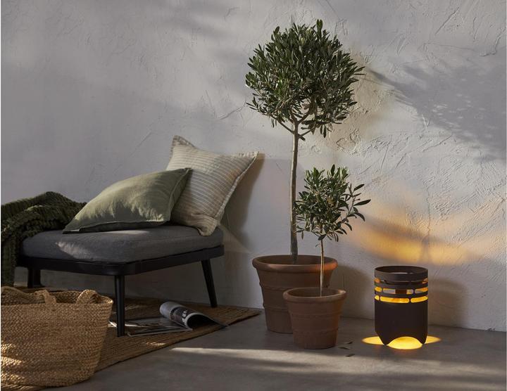 Actual product image Star Trading Solar decoration Marron (40 lm, IP44)