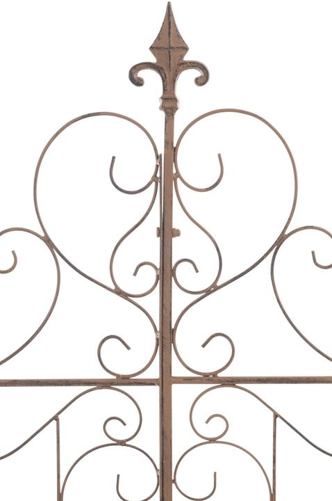 Actual product image CLP Mandevilla (1 cm, 99 cm)