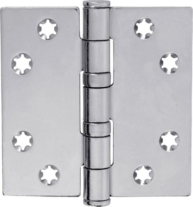 Actual product image Charmag Door hinges with loose ball bearings