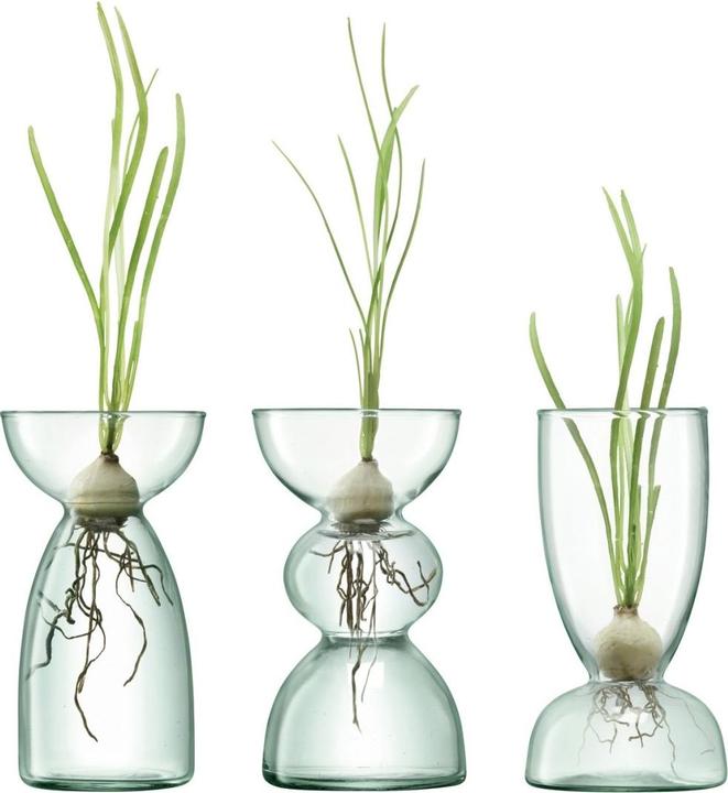 Image du produit LSA Canopy (3 x)