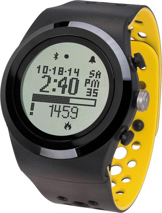 Produktbild LifeTrak Brite R450