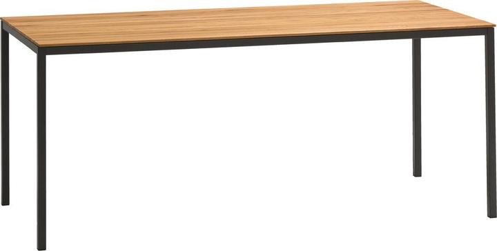 Johann Jakob Filigrano (180 x 75 cm)