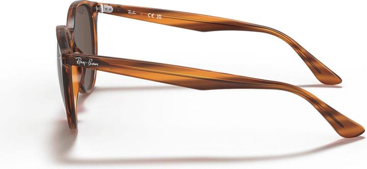 Produktbild Ray Ban RB4305