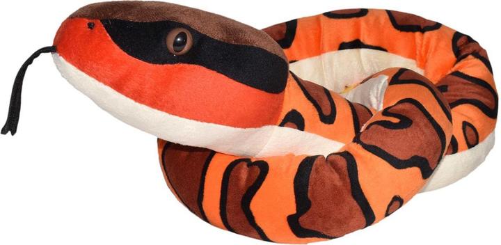 Black, Brown, Orange