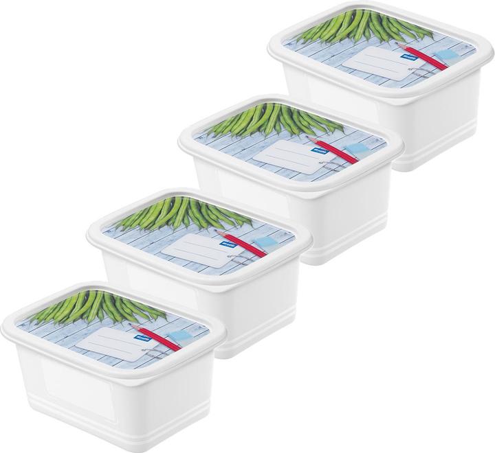 Image du produit Rotho Boîtes de congélation (0.75 l)
