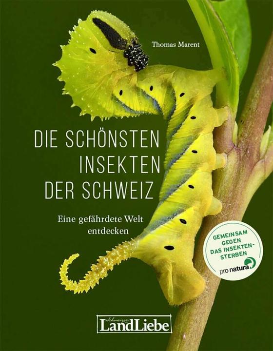 Image du produit Die schönsten Insekten der Schweiz (Allemand, Thomas Marent, 2020)