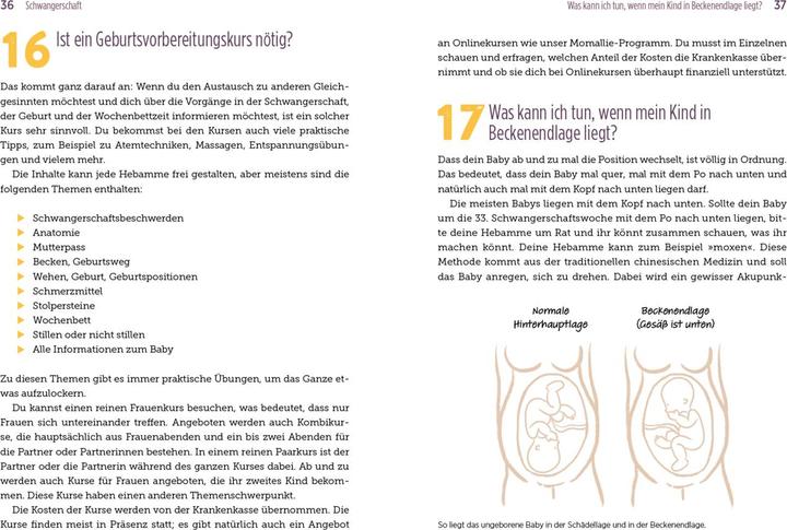 Image du produit 100 Fragen an deine Hebamme (Allemand, Julia Brömsen, Jasmin Czech, 2023)