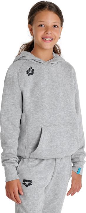 Actual product image Arena Jr Team Hooded Sweat Panel (128)