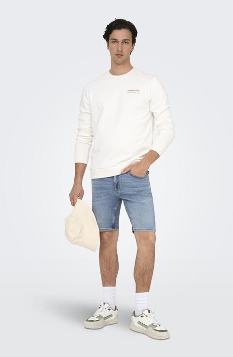 Image du produit Only & Sons ONSWEFT Normal geschnitten Shorts Jeans-Shorts (XXL)