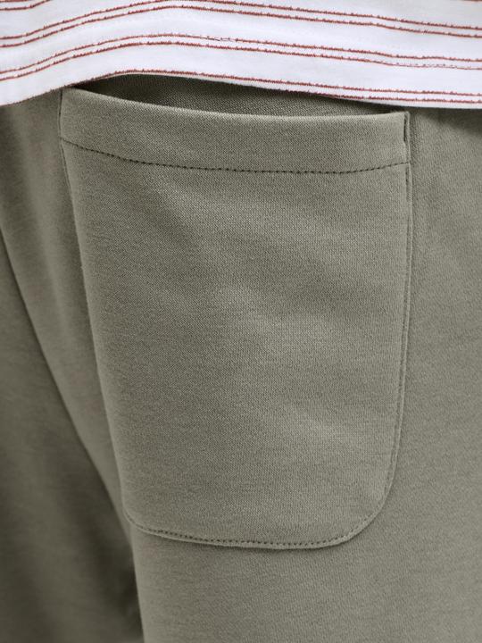 Image du produit Jack & Jones Regular Fit Sweat-Shorts Sweat-Shorts (XL)