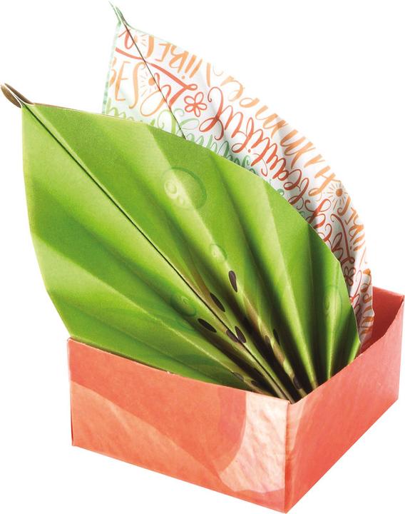 Actual product image Folia Leaflets 15x15cm Tropical (80 g/m², 1 x)