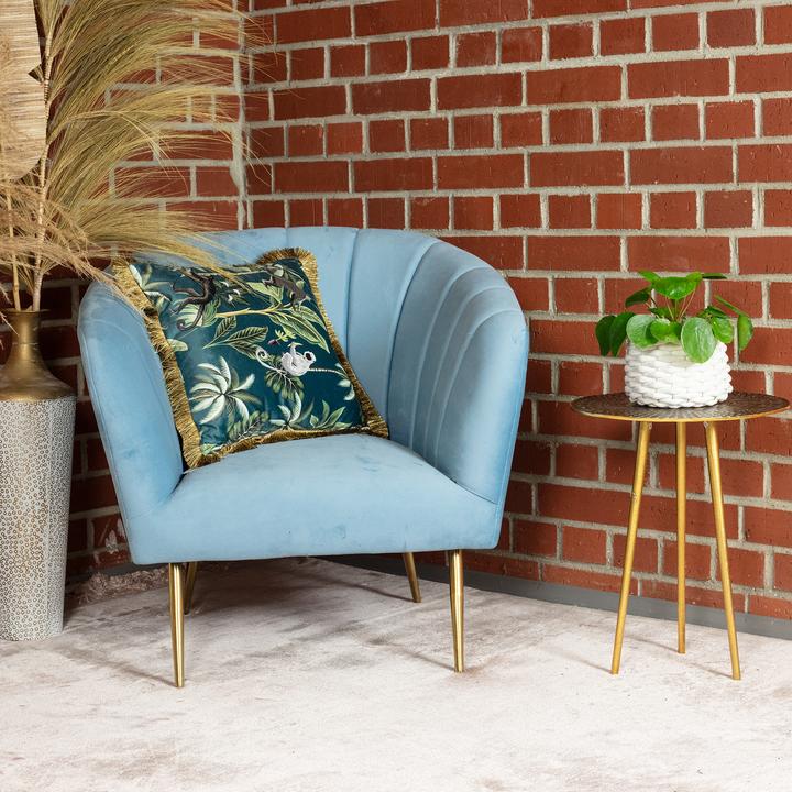 Produktbild Flowerbox Ufopflanze - Pilea peperomioides (20 cm)