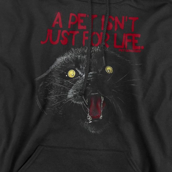 Produktbild Pet Sematary I Survived Kapuzenpullover (M)