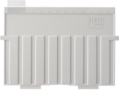 Actual product image Han Transparent viewing rider (3 x 1 cm)