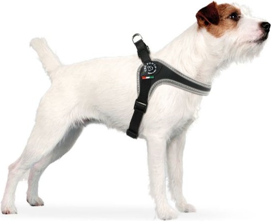 Immagine prodotto Tre Ponti Pettorina per cani (M, Cane, Passeggiare)