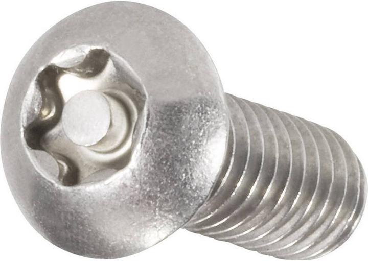 Actual product image Toolcraft Safety screws with penhead (10 Screws per piece)
