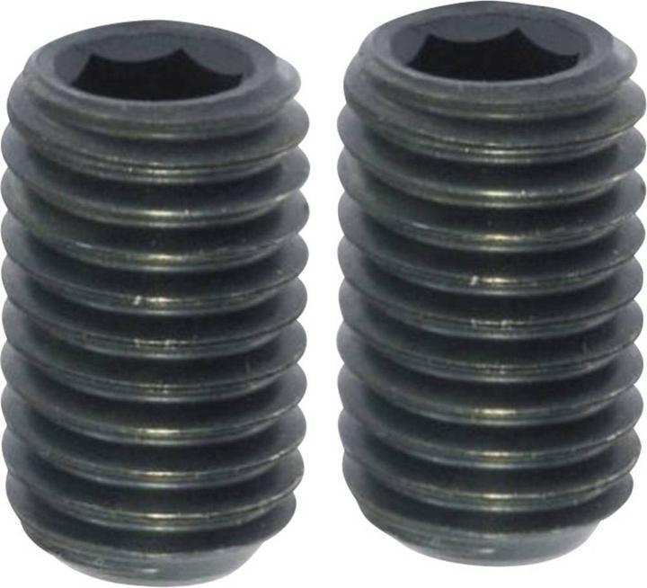 Actual product image Toolcraft Hexagon socket set screws with cutting ring (20 Screws per piece)