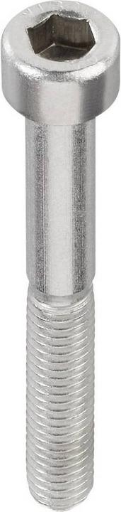 Actual product image Toolcraft Cheese head screws (20 Screws per piece)