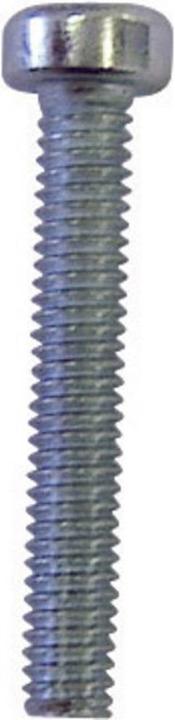 Toolcraft Kaaskopschroeven M3 6 mm Torx (100 Schroeven per stuk)