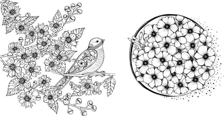 Actual product image My spring walk