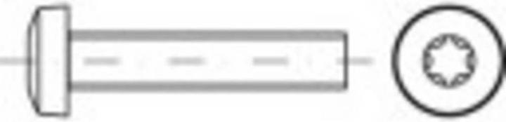 Image du produit Toolcraft 4.8 électro-galvanisé Vis à tête plate à six pans creux Dimension : M 3 x 6 (200 Vis par pièce)