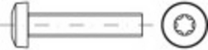 Image du produit Toolcraft 4.8 électro-galvanisé Vis à tête plate à six pans creux Dimension : M 3 x 6 (200 Vis par pièce)