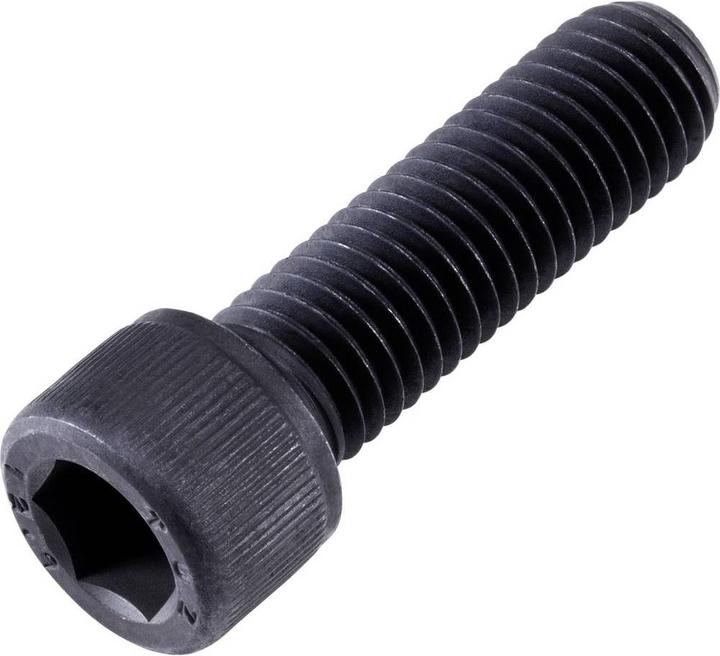 Actual product image Toolcraft Cheese head screws 100 ST