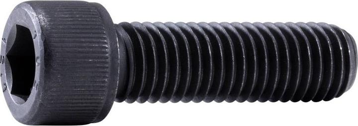 Actual product image Toolcraft Cheese head screws 100 ST