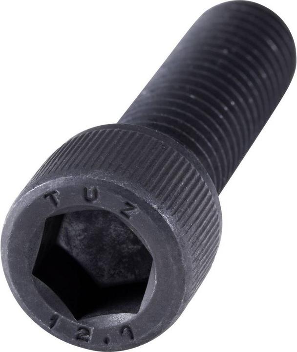 Actual product image Toolcraft Cheese head screws 100 ST