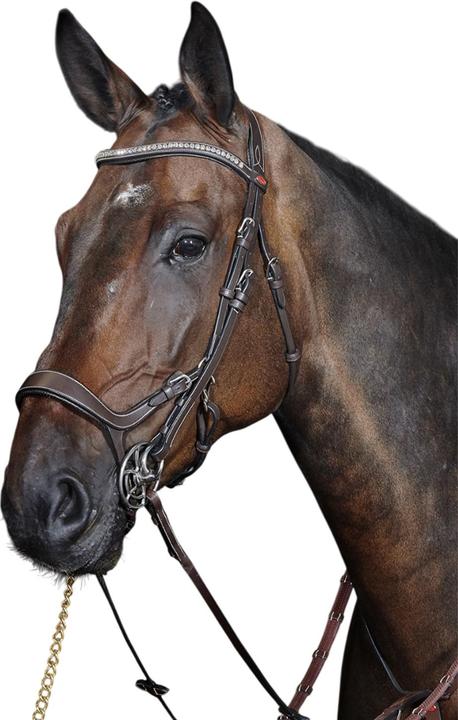 Image du produit - Bride avec rênes pour chevaux CHICAGO