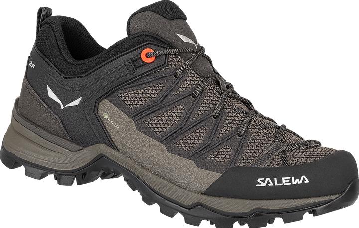 Produktbild Salewa MTN Trainer Lite GTX Schuhe (42)