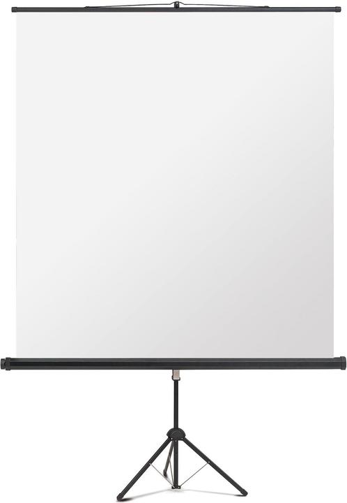 Produktbild Magnetoplan Stativleinwand Professional 6100112 150x150cm weiss