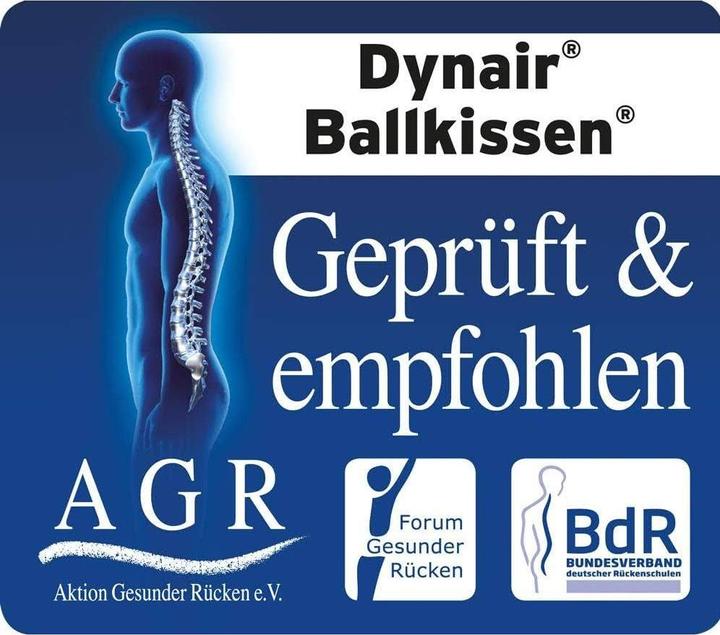 Produktbild Togu Dynair Ballkissen Senso XL