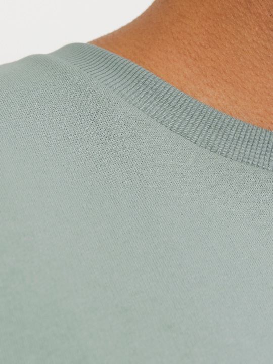Actual product image Jack & Jones Jjebradley Sweat Crew Noos Pls (XXL)